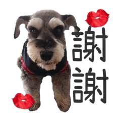 黃府毛小孩