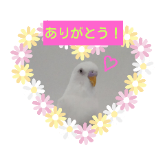 chirm