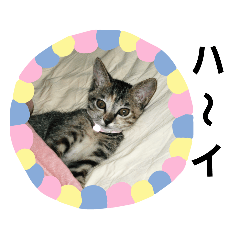 nonta_20190121194708