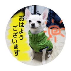 ARISA_20190119163552