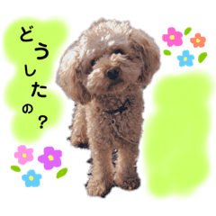 Happy STAMP !!!