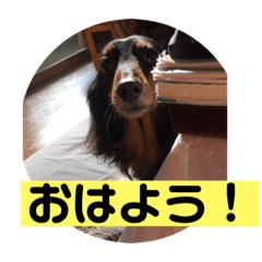 my home town_20190120021249