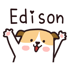 382 Edison