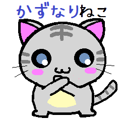 Kazunari cat
