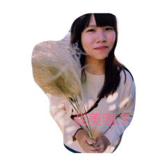 萍萍的貼圖