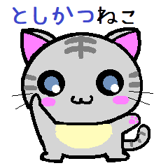 Toshikatsu cat