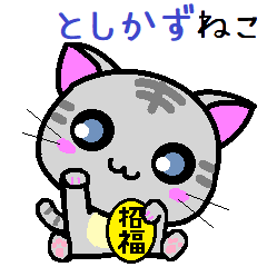 Toshikazu cat
