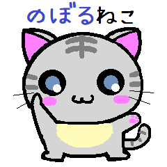 Noboru cat