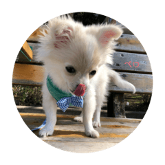 milky_20190123144334