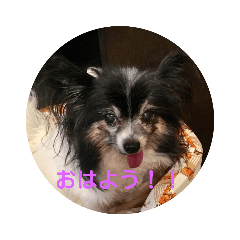 saori_20190123210818