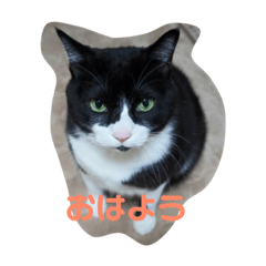 Azu_20190121004052