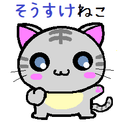Sousuke cat