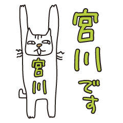 Only for Mr. Miyagawa Banzai Cat