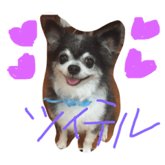 miyuu_20190123222035