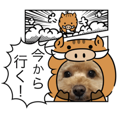 cocoa_20190119133307
