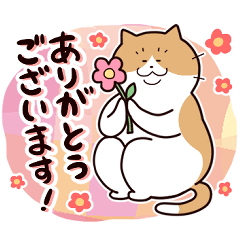 Free Cats Colorful Sticker