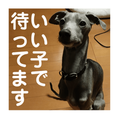 nene_20190120162759