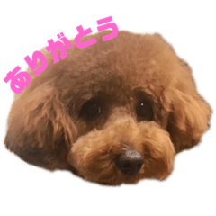satoshi_20190121140344
