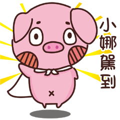 Coco Pig -Name stickers -XIAO NUO