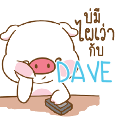 DAVE หมูอ้วนตัวกลม_E e