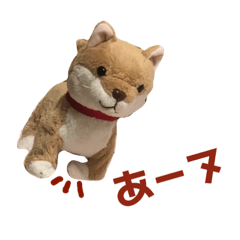 mayu_i_nu