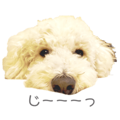 saori_20190121205658