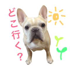 omochi_20181016111854
