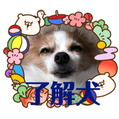 sakai family stamp part1