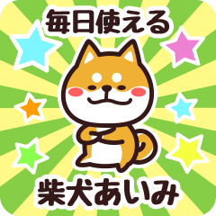 Petit Shiba Aimi (Everyday)