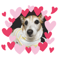mako_20190124212152