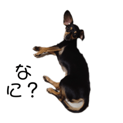 nozomi_20190125022510