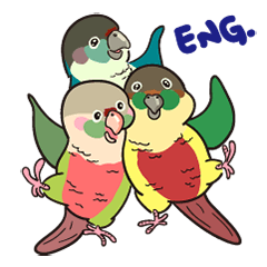My lovely conures (Eng ver)