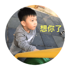 雙Q寶