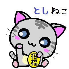 Toshi cat