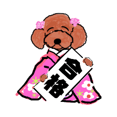 Sei_20190124134757