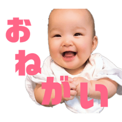 Midori_20190124185308