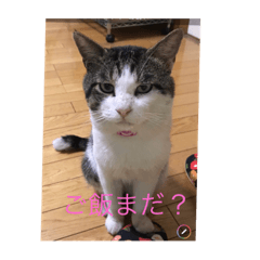ebi_20190119211002