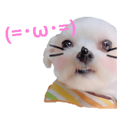 MIYUU_20190125203035