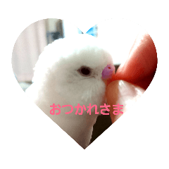 rika_20190125203159