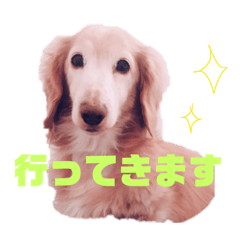 yun_20190125185423