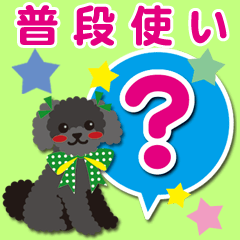 [toy poodle/Black]Usually