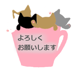 A cup of cat