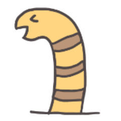 Stylish conger eel-chan