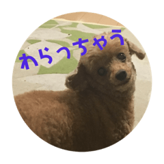 mokosan stamp