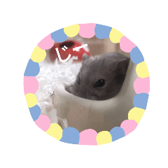 mu_20190126231229