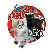 hogoneko_20190125221441