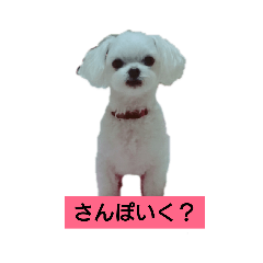 fuu_20190126232719