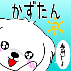 Kazutan only Cute Maltese Sticker
