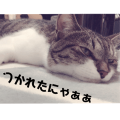 ryu_20190125190254
