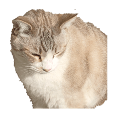 G_20190125234905